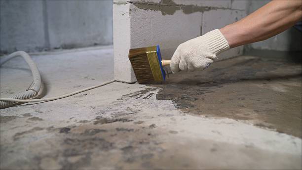 24/7 Emergency Waterproofing experts in Trenton, MI